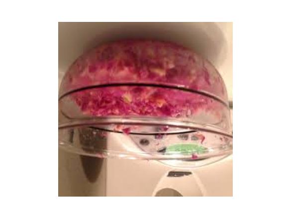 Blaukrautsalat (Rotkohlsalat)