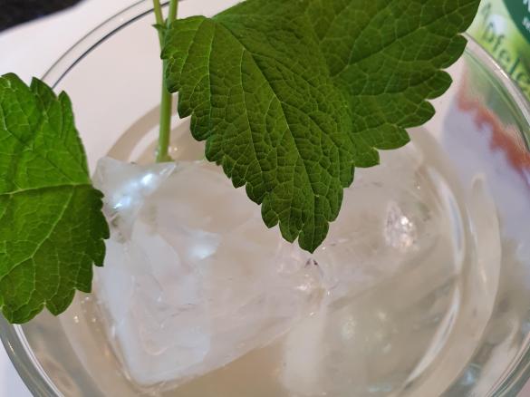 Gerrys SWITSCHEL alkoholfrei  "Schneekoppe"