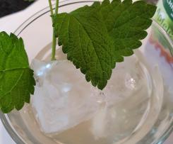 Gerrys SWITSCHEL alkoholfrei  "Schneekoppe"