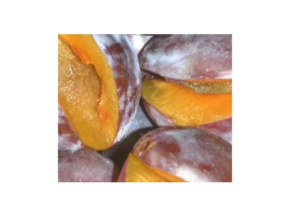 zur Pflaumensaison: Pflaumen-Amaretto Marmelade