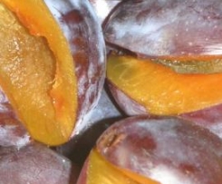 zur Pflaumensaison: Pflaumen-Amaretto Marmelade