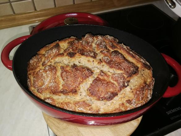 schnelles Sauerteig Brot, da mit großer Menge Sauerteig, in der Cocotte gebacken