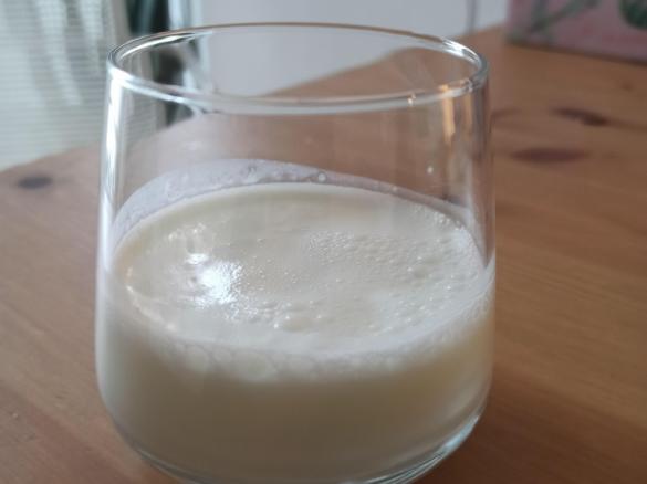 Ayran ohne türkische Produkte