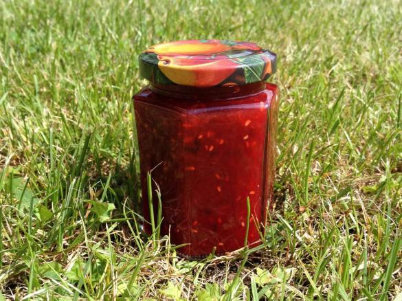 Himbeer- Grapefruit- Zwetschgen- Fruchtaufstrich