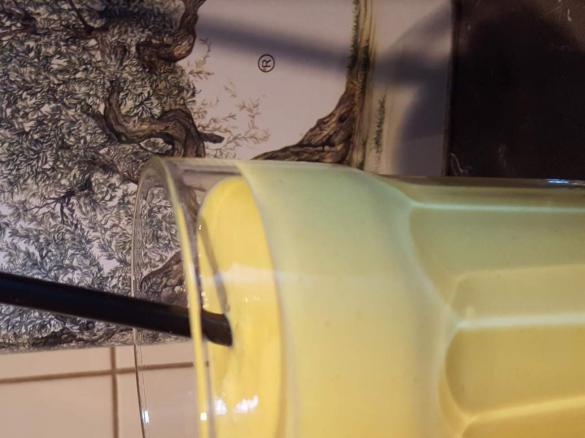 Mango Kurkuma Smoothie