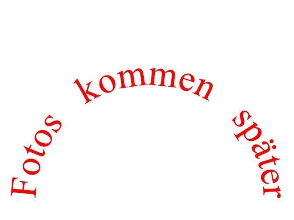 Rucola-Apfel-Salat (sehr fruchtig)