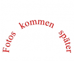 Rucola-Apfel-Salat (sehr fruchtig)