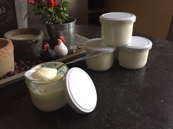 cremiger Joghurt nach Jean-Pütz Methode