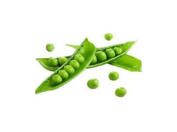 Erbsensoße zu Bandnudeln