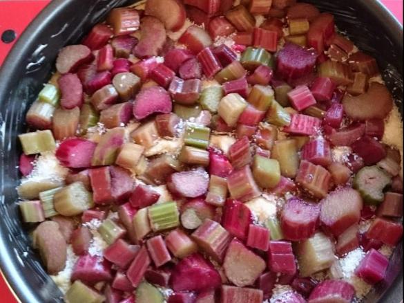 Rhabarberkuchen mit Butter-Zimt-Streusel