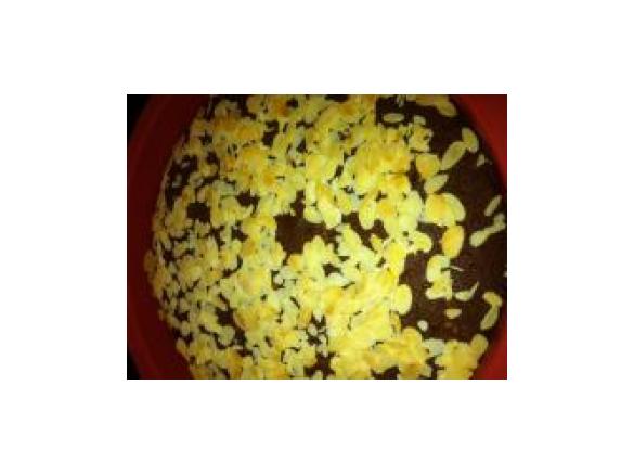 Schokoladen-Zucchinikuchen