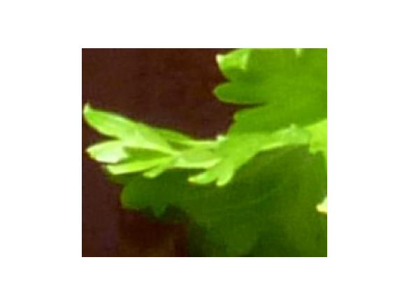 BBQ-Sosse / Barbeque-Sauce