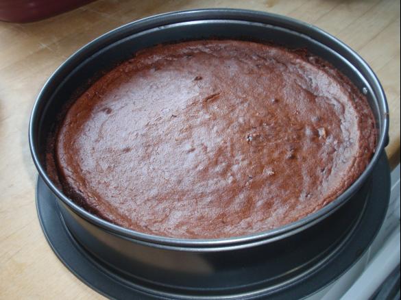 Schoko-Pflaumen-Kuchen low carb
