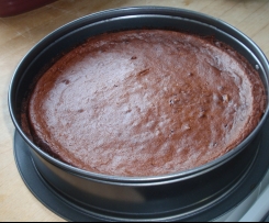 Schoko-Pflaumen-Kuchen low carb