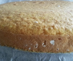 Super Biskuit - Bisquit glutenfrei und vegan