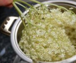 Holunderblüten-Gelee