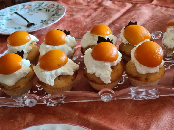 Aprikosen Cupcakes (Spiegeleier-Cupcakes)