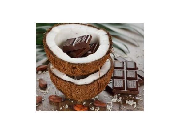 Kokos-Schoko-Shake / Fettkiller