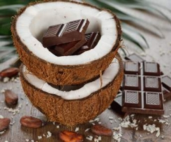 Kokos-Schoko-Shake / Fettkiller