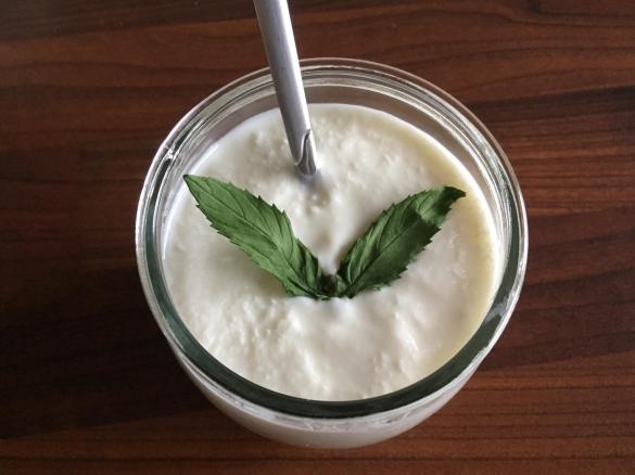 Naturjoghurt / Ev yapımı yoğurt