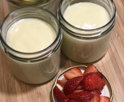 Fichtennadel-Pudding mit Honig