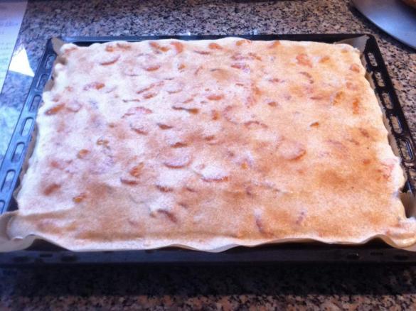 Fantaschnitten mit Mandarinen