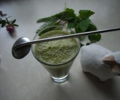 Wildkräutersmoothie