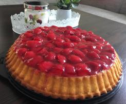 Boden für Obstkuchen (Biskuit)