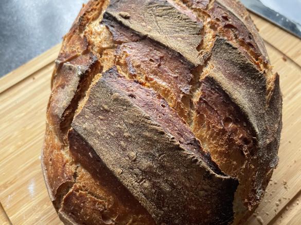 Brot - Friss Dich dumm