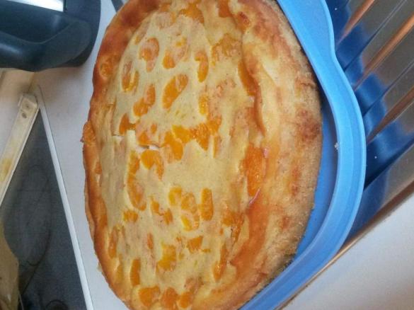 Mandarinen-Vanille-Schnitte