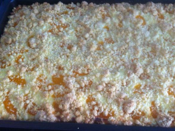 Quark- Mandarinen- Streuselkuchen (glutenfrei)