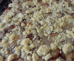 Pflaumenkuchen mit Quarkölteig