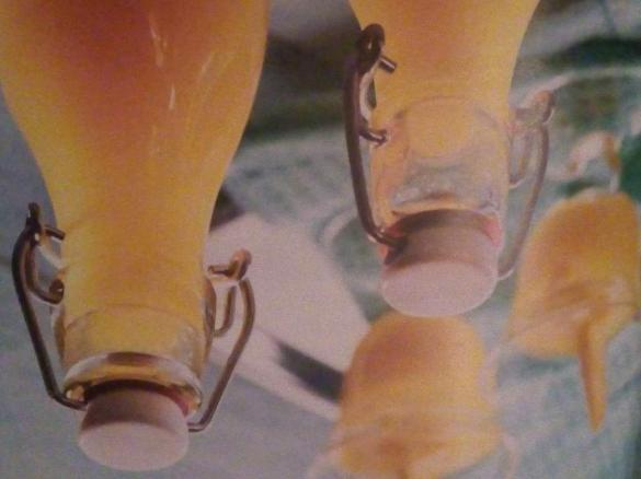 Mangolikör aus "Geschenke aus dem Thermomix "