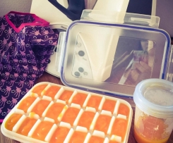 Kürbisbrei auf Vorrat - der erste Brei