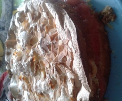 Erdbeer-Rhabarber-Baisertorte/-kuchen