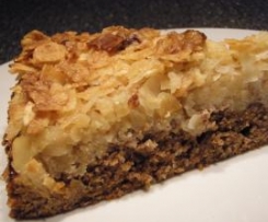 Apfelkuchen - fix & fein