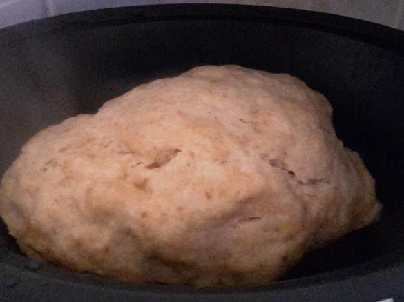 Böhmische Knödel / Mehlknödel