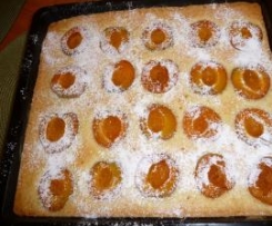 Marillenkuchen