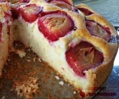 Glutenfreier Ruck-Zuck-Zwetschgenkuchen