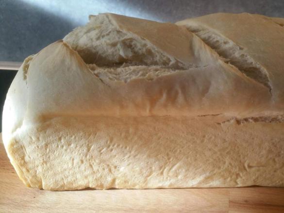Weissbrot für den TM 5 aus Das Backbuch
