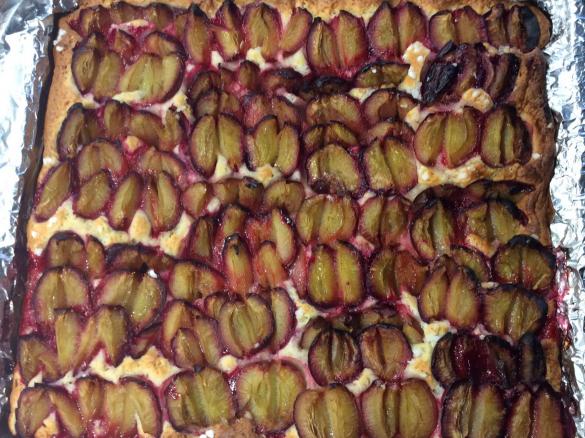 Pflaumenkuchen auf Quark-Öl-Teig