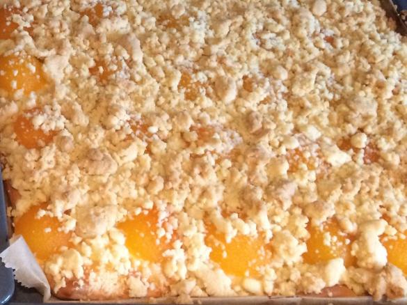 Aprikosen-Pudding Streuselkuchen