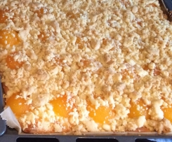 Aprikosen-Pudding Streuselkuchen