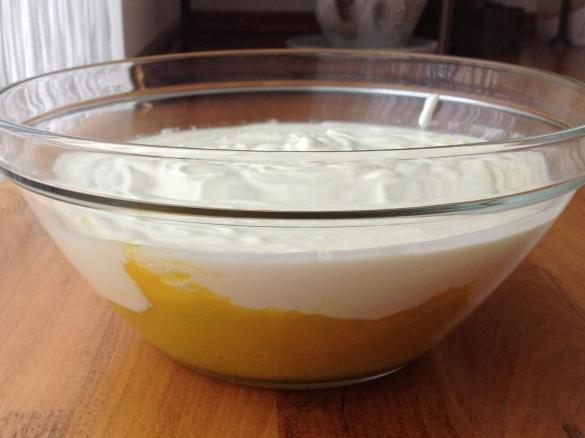 Mango Joghurt Ruck Zuck