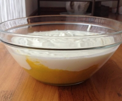 Mango Joghurt Ruck Zuck