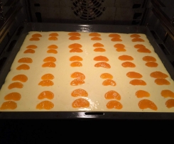 Quarkkuchen in 3 Grössen - grosses Blech, 28 cm Springform, 18 cm Springform