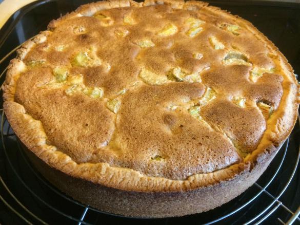 Rhabarberkuchen mit Haselnuss/Mandelguss