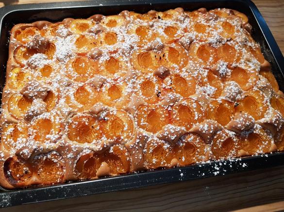 Babcias Marillen oder Zwetschgenkuchen