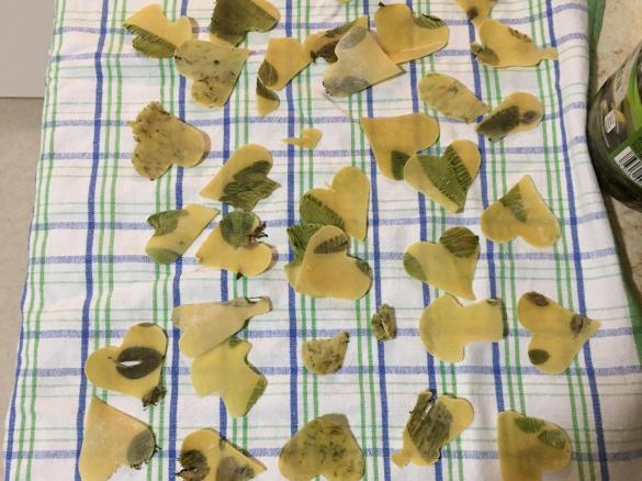 Pasta mit Basilikum Blättern