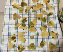 Pasta mit Basilikum Blättern